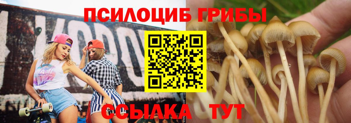 Псилоцибиновые грибы Psilocybe  Псилоцибиновые грибы мицелий  Вход с VPN  купить наркотик  Павловский Посад 
